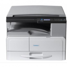 理光（Ricoh） 基士得耶DSm1120